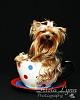 Post Your Fave Pic of Your Yorkie Here!-9.jpg
