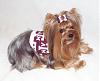 Gig 'Em Aggies!-aggie-rylie-1-.jpg