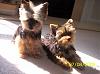 pics of Cassie and Dezi together-cassidy-first-pictures-april-011.jpg