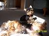 pics of Cassie and Dezi together-cassidy-first-pictures-april-037.jpg