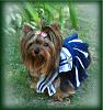 AprilLove in her sailor outfit :-) :-)-sailorgirla.jpg