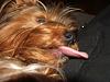 Everyone LOVES the tongue pics... POST YOUR FAVS!!-103.jpg