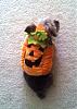 Bandit, in 1 out of 2 of his Halloween costumes-cutest-pumpkin.jpg