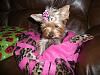 Brooklyn got her new napsak from Chattiesmom!-blanket2.jpg