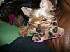 Brooklyn got her new napsak from Chattiesmom!-blanket3.jpg