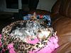 Brooklyn got her new napsak from Chattiesmom!-blanket4.jpg