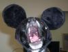 Mickey Mouth-mickeymoth.jpg