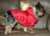 Macho boy in girlie coat-img_8345.jpg