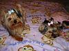 I have a surprise!!!!!!-007.jpg