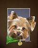 check out spike's portrait!!-dsc02404.jpg