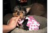 Dora Jolie and her brother Joey Pup.. * PICS *-abc1.jpg