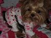 Tatum is Comfy Cozy and Toasty Warm in her Snuggly PJ's!-8.jpg