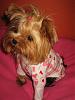 Tatum is Comfy Cozy and Toasty Warm in her Snuggly PJ's!-15.jpg