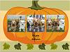 Our Autumn Pictures-imasdsadasdasdsadasdasdasge3.jpg