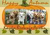 Our Autumn Pictures-pumpkinwewe_2color_5x7_h_over.jpg