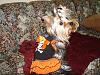 Squeaky clean & dressed for Halloween-halle-halloween-dress2.jpg