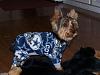 Boomer's new jammies-misc-035-resized.jpg