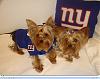 The KJ's are ready for some Football-dsc04846.jpg