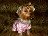 Lola loves her new jammies-lolapiggy2.jpg