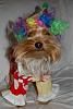 Paisley the clown!!-44-399-x-600-.jpg