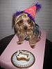 Rosie's Birthday Is Sunday and Already Got Her Cake-img_0386-1-2-.jpg