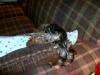 My sleeping babies.-cimg1482.jpg