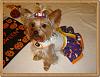 Trick Or' Treat!-dsc05065.jpg