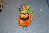 odie's a pumpkin-phpn8ponrpm.jpg