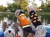 The "R" crew boatin' on a fall afternoon ~-boat-003.jpg