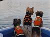 The "R" crew boatin' on a fall afternoon ~-boat-005.jpg