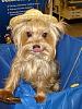 Our Petsmart Halloween-005-sm.jpg