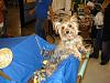 Our Petsmart Halloween-033-sm.jpg
