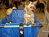 Our Petsmart Halloween-049-sm.jpg