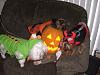 Kikki,Max,Bobo & Libby in their costumes from Tinkerbelle's Closet-dogdressedhalloween2008-128.jpg