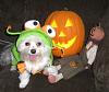 Kikki,Max,Bobo & Libby in their costumes from Tinkerbelle's Closet-dogdressedhalloween2008-117.jpg