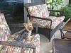 Bengi chilling on the new patio set!-patio-004.jpg