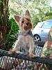 Bengi chilling on the new patio set!-patio-002.jpg