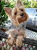 Bengi chilling on the new patio set!-patio-011.jpg