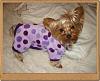 Who likes Polka Dots???-dsc05358.jpg