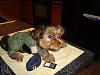2008 Halloween Contest Outtakes & Bloopers-mav1.jpg