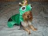 2008 Halloween Contest Outtakes & Bloopers-007.jpg