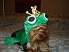 2008 Halloween Contest Outtakes & Bloopers-010.jpg