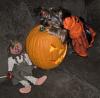 2008 Halloween Contest Outtakes & Bloopers-dogdressedhalloween2008-081.jpg