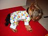 Yoshi sporting one of his cute Target Pj's...-img_3585-vi.jpg