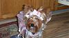 Happy Halloween from Daisy Mae-100_1335.jpg
