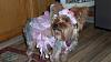 Happy Halloween from Daisy Mae-100_1337.jpg