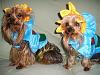2008 Halloween Contest Outtakes & Bloopers-halloweencostumesfurkids2007-043.jpg