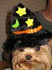 Tatum - Is she a GOOD Witch or a BAD Witch?-witch-tate-4.jpg