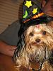 Tatum - Is she a GOOD Witch or a BAD Witch?-witch-tate-7.jpg