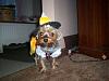 Bella the Candy Corn Witch-102_0327p.jpg